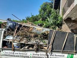 Best Dumpster Rental Services  in Sterling, GA